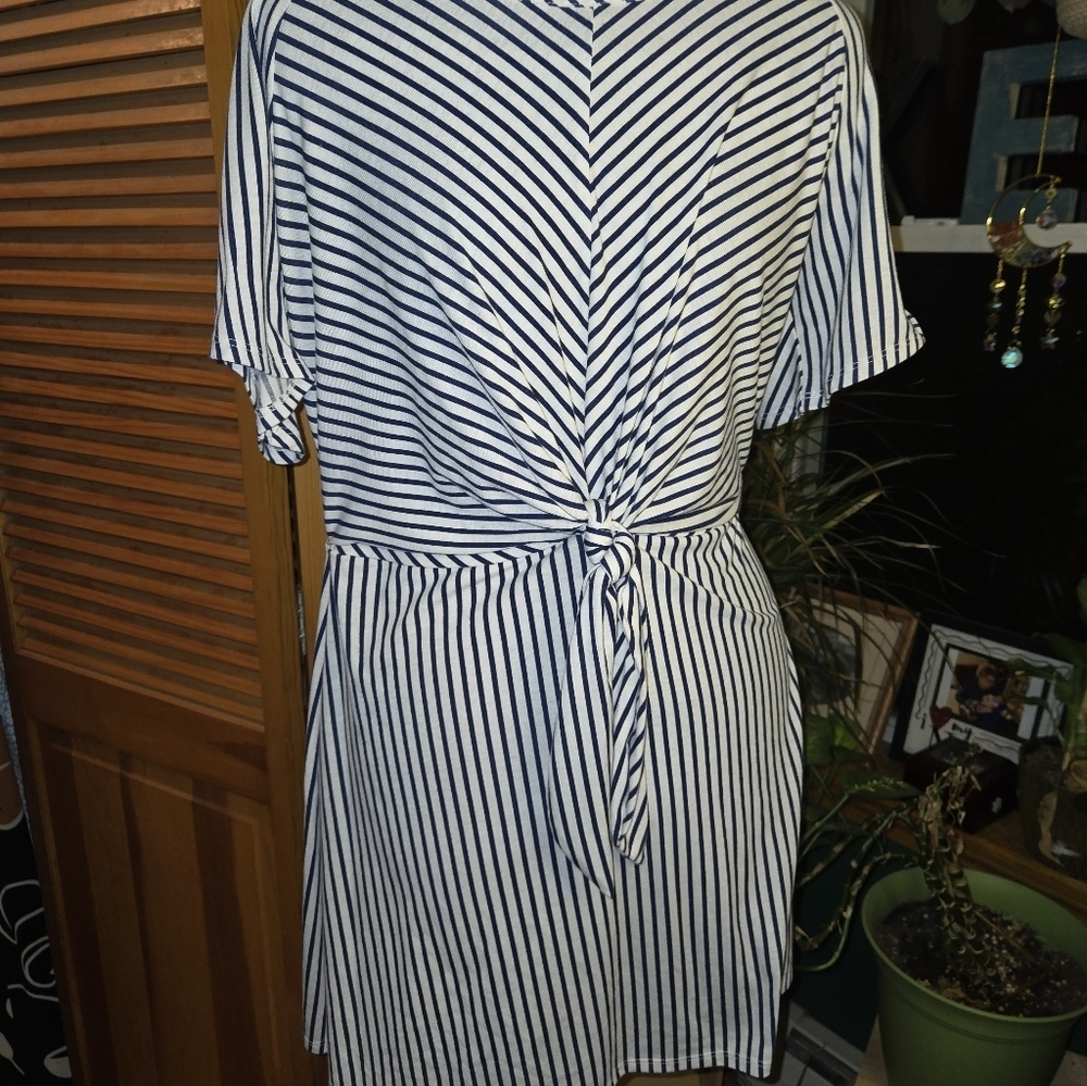 Black and White Striped Sinched At The Waist Dress - Picture 5 of 6